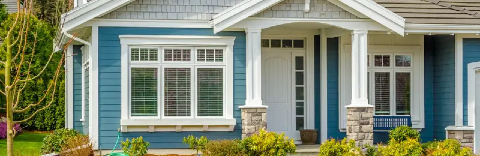 pest free home